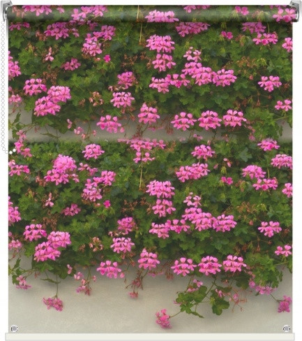  външна фото щора ЦВЕТЯ, размери, печат: 81х150