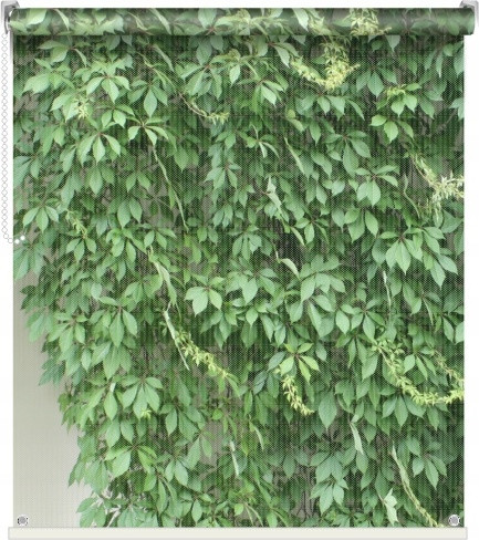  Фото щори балкон тераса градина открит 100x150