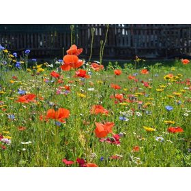   ЛИВАДЕН МЕД ЦВЕТЯ ЗА ВЛАЖНИ МЕСТА XXL 100гр