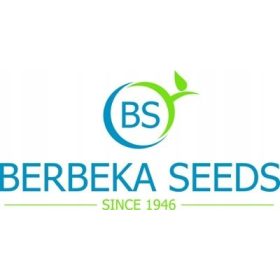 Семена от краставица Śremski F1 250гр