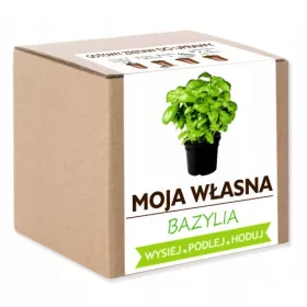  семена босилек 1000гр