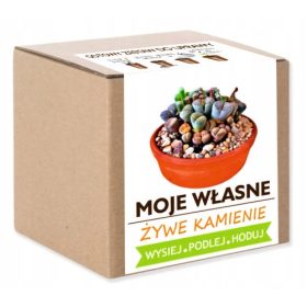    Комплект за култивиране на ЖИВИ КАМЪНИ