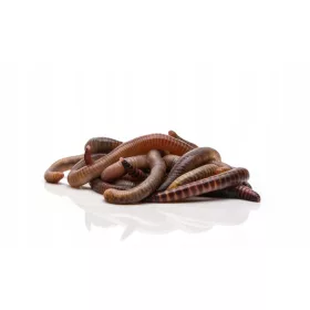   Пушилня за месо - Компостер Екагро 1 камерен 600л