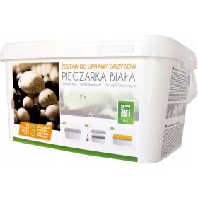    Комплект за отглеждане на мицел от БЕЛИ ГЪБИ 5л