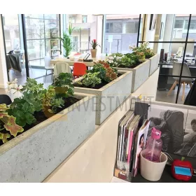    Бетонни градински кашпи - саксия Пиколо 50х20х15