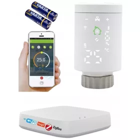 ZigBee TER1 + глава CEN-01