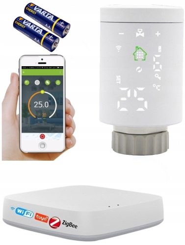 ZigBee TER1 + глава CEN-01