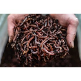 Пушилня за месо - Kompostownik Liwi 0л