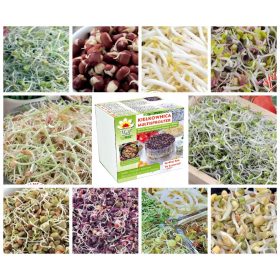    Кутия за кълнене + КОМПЛЕКТ х10 СЕМЕНА ЗА КАЛЕНЕ 290гр