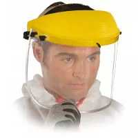 Щити за лице